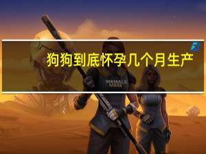 狗狗到底怀孕几个月生产