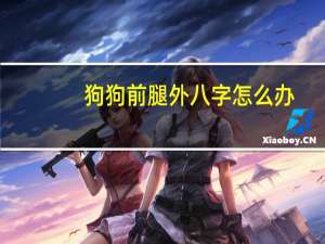 狗狗前腿外八字怎么办