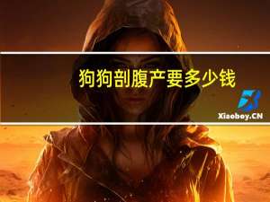 狗狗剖腹产要多少钱