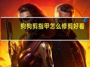狗狗剪指甲怎么修剪好看