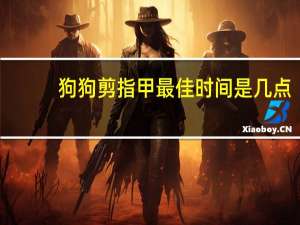 狗狗剪指甲最佳时间是几点