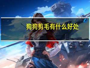 狗狗剪毛有什么好处