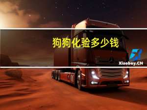 狗狗化验多少钱
