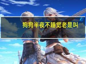 狗狗半夜不睡觉老是叫
