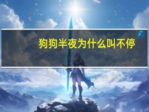 狗狗半夜为什么叫不停