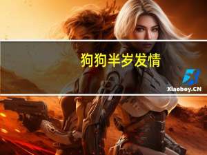 狗狗半岁发情