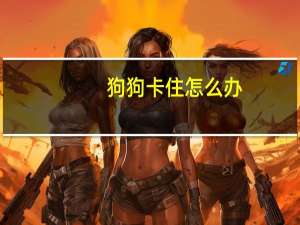 狗狗卡住怎么办