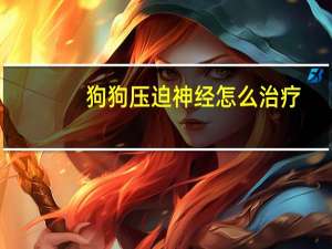 狗狗压迫神经怎么治疗