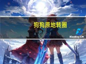 狗狗原地转圈