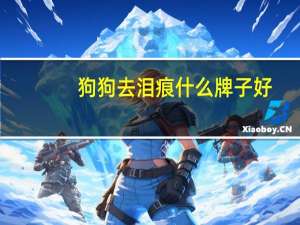 狗狗去泪痕什么牌子好