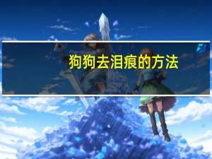 狗狗去泪痕的方法