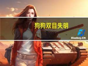 狗狗双目失明