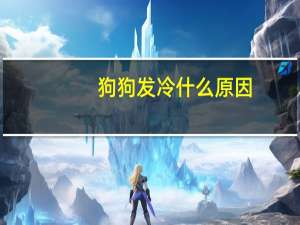 狗狗发冷什么原因