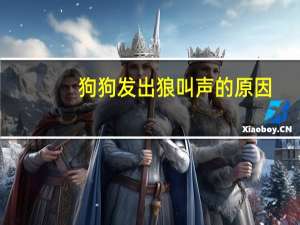 狗狗发出狼叫声的原因