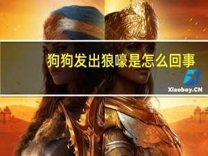 狗狗发出狼嚎是怎么回事