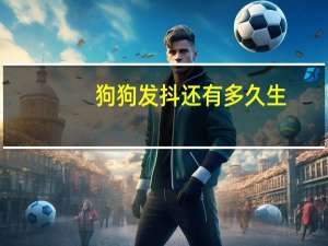 狗狗发抖还有多久生