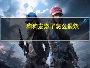 狗狗发烧了怎么退烧