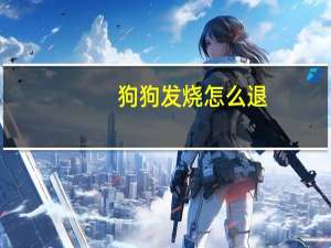 狗狗发烧怎么退