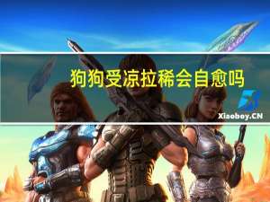 狗狗受凉拉稀会自愈吗