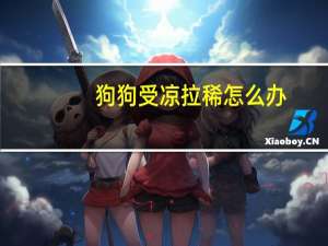 狗狗受凉拉稀怎么办