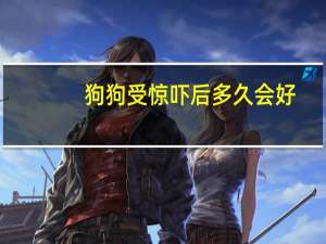 狗狗受惊吓后多久会好