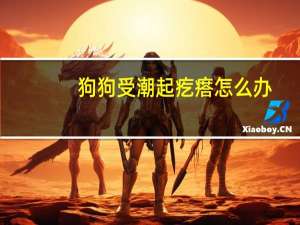 狗狗受潮起疙瘩怎么办