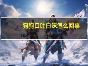 狗狗口吐白沫怎么回事