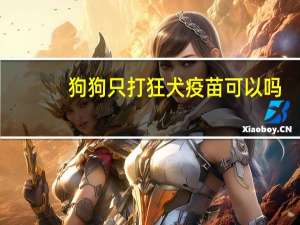 狗狗只打狂犬疫苗可以吗