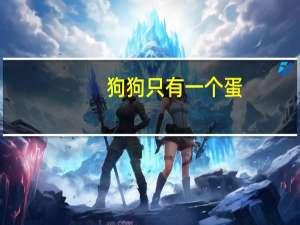 狗狗只有一个蛋
