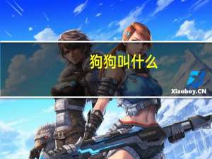 狗狗叫什么