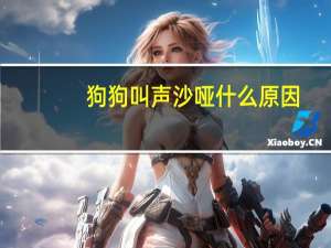 狗狗叫声沙哑什么原因