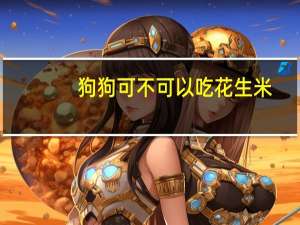 狗狗可不可以吃花生米