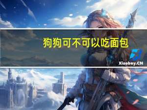 狗狗可不可以吃面包