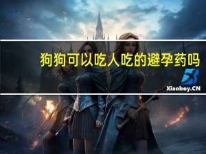 狗狗可以吃人吃的避孕药吗