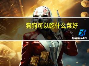 狗狗可以吃什么菜好
