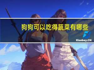 狗狗可以吃得蔬菜有哪些