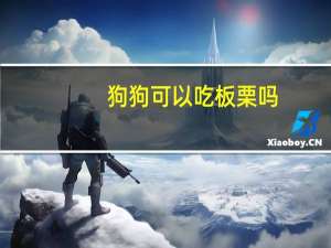 狗狗可以吃板栗吗
