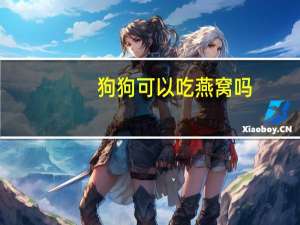 狗狗可以吃燕窝吗