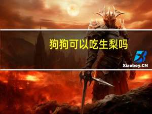 狗狗可以吃生梨吗