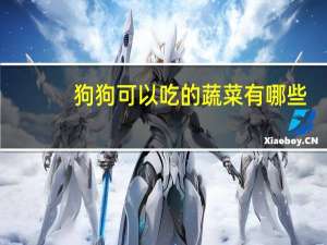 狗狗可以吃的蔬菜有哪些
