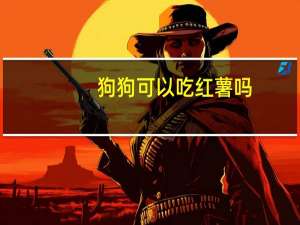 狗狗可以吃红薯吗