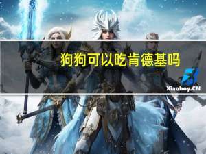 狗狗可以吃肯德基吗