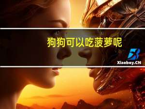狗狗可以吃菠萝呢