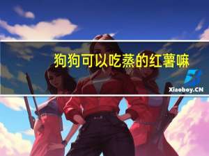 狗狗可以吃蒸的红薯嘛