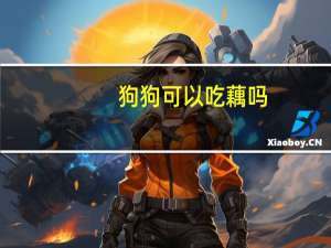 狗狗可以吃藕吗