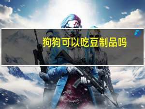 狗狗可以吃豆制品吗