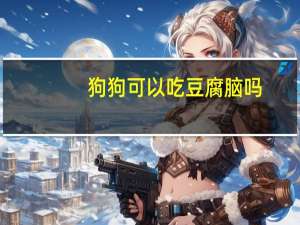 狗狗可以吃豆腐脑吗