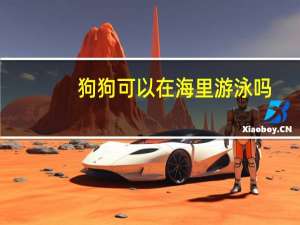 狗狗可以在海里游泳吗