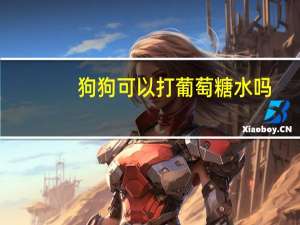狗狗可以打葡萄糖水吗
