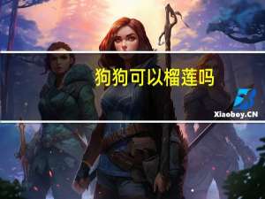 狗狗可以榴莲吗